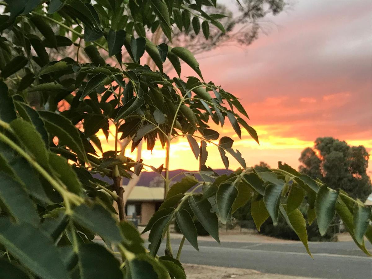 Birdsong Gardens Apartment Quorn Luaran gambar