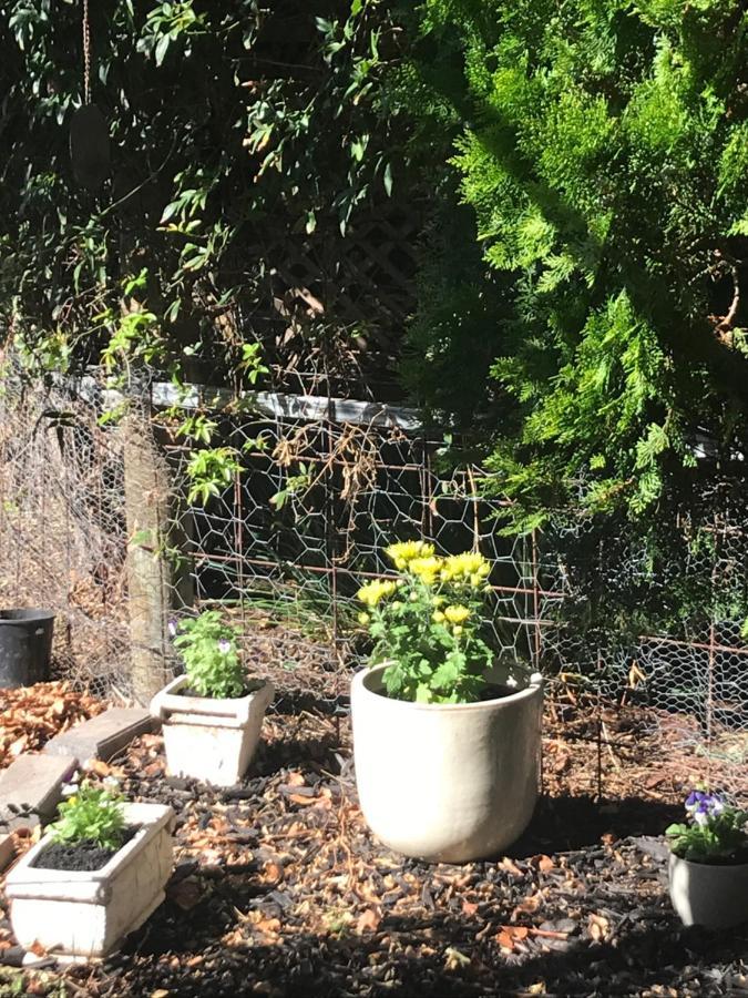 Birdsong Gardens Apartment Quorn Luaran gambar